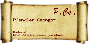Pfendler Csongor névjegykártya